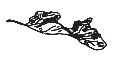 Outline clipart of fallen leaf. Doodle of autumn botany attribute. Hand drawn vector illustration isolated on white background.