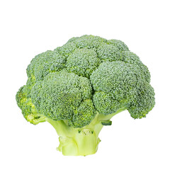 Fresh broccoli isolated on white background. File contains clipping path.