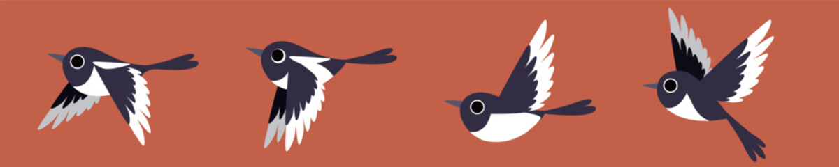 Flying birds. Cartoon magpie bird vector illustration.