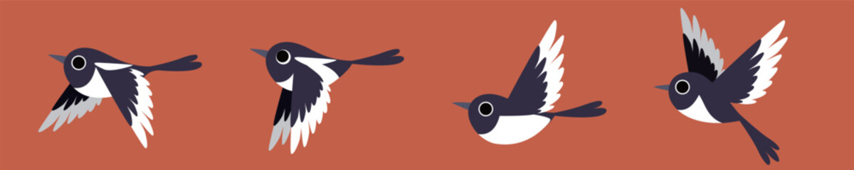 Flying birds. Cartoon magpie bird vector illustration.