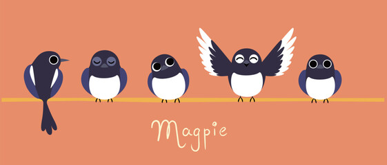 Front view of birds standing on wires. Cartoon magpie bird vector illustration.