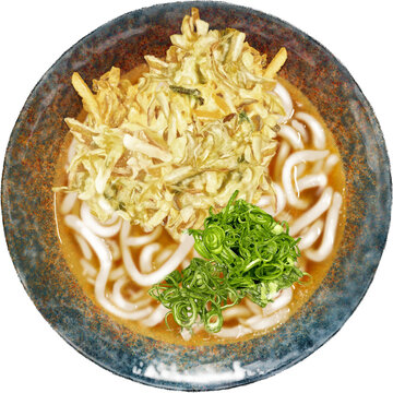Kakiage Udon is a Japanese noodle dish featuring thick udon noodles served with a crispy and flavorful kakiage tempura made from various vegetables.