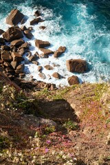 Shoreline with natural elements  like colorful rocks and lush plants, creating an eye-catching scene
