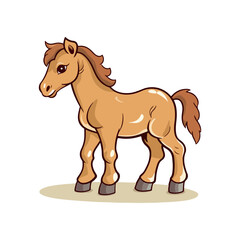 foal horse baby animal cartoon