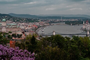 Fototapeta na wymiar Aerial view of spring in Budapest with a blooming purple flower bush over a cityscape view