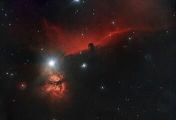 Stunning view of the Horsehead Nebula in a night sky
