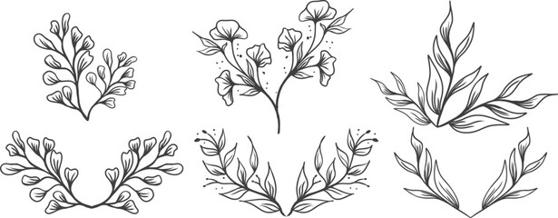 Set of floral elements, flower, leaves. Hand drawn sketch pencil style 