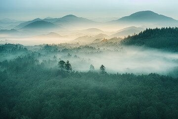 Misty summer mountain hills landscape.