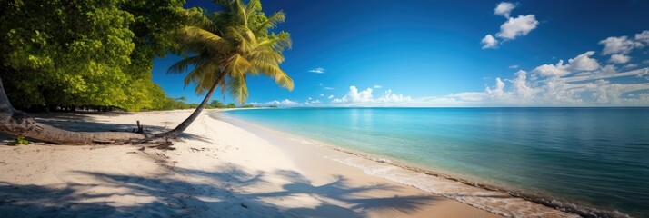 Coconut tree on tropical island beach with blue sky on sunny day.