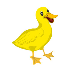 yellow duck