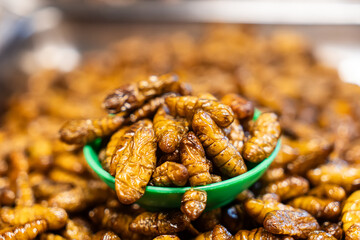 Strange food, weird food. deep fried insects, local street food in night marke thailand. Pupa, silkworm fried food, fried insect larvae snack as exotic in Asia, Thailand. insects protein snacks.