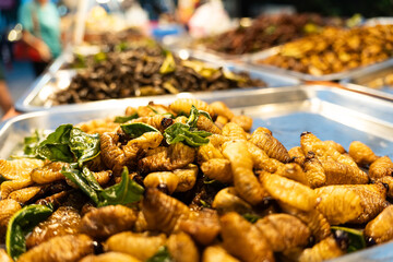 Strange food, weird food. deep fried insects, local street food in night marke thailand. Pupa,...