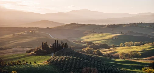 Fotobehang Toscane Stunning image captures the beauty of Val d'orcia in Tuscany, Italy during the golden hour  © Lukas Leitner/Wirestock Creators