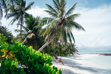 Stunning view of a beach in the Maldives featuring vibrant blue water and a white sand beach