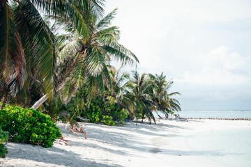 Stunning view of a beach in the Maldives featuring vibrant blue water and a white sand beach