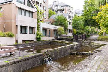 Fototapeta premium 綺麗な住宅群の中を流れる用水路