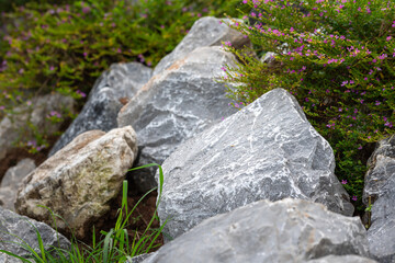 Stack of large stone pieces are placed among the greenery plant for gardening decoration. Selective...