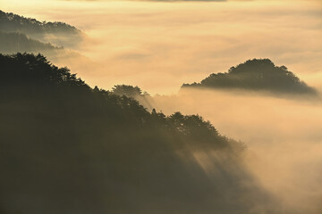 朝焼けの雲海の風景