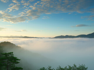 雲海が出ている山の風景