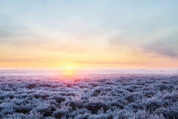 Rural landscape of grassy field blanketed with frost at sunrise