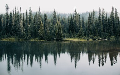 Idyllic landscape of pine trees reflected in a beautiful lake - Powered by Adobe