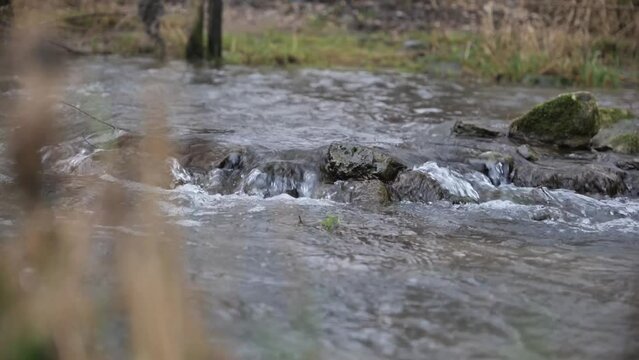 Slow motion of a stream with stones and grass