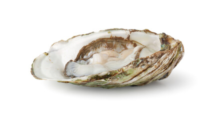 Fresh Opened Oyster on White Background with clipping path. , Delicacy of the Ocean Seafood Industry.