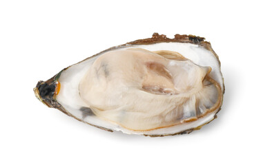 Fresh Opened Oyster on White Background with clipping path. , Delicacy of the Ocean Seafood Industry.