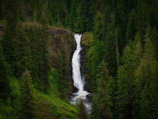 Fototapeta na wymiar Lush green forest surrounding the majestic waterfall. Elk Creek Falls, Idaho, USA.