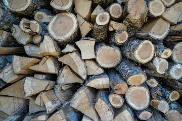  A stack of chopped firewood in a pile © Burke Ulrey/Wirestock Creators
