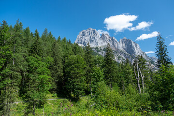 Fototapeta na wymiar Mühlsturzhörner im Klausbachtal bei Ramsau, Berchtesgadener Land, Oberbayern, Bayern, Deutschland