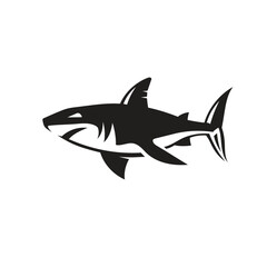 Vector of shark on white background