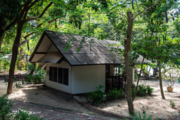 Fototapeta na wymiar bamboo hut bungalows on the beach in Thailand. simple backpacker accommodation in Thailand on the beach in a garden