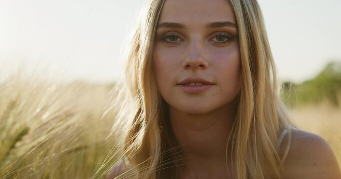 Blonde beautiful woman smiling in the wheat field on a sunny day