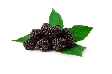 ripe blackberries with leaves, on a white background, isolate, horizontal,