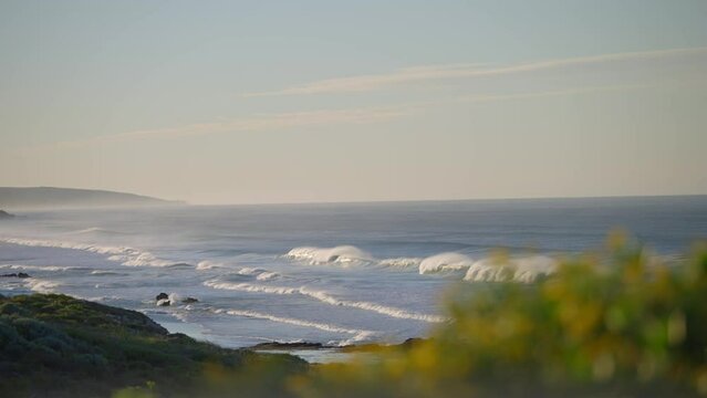 Selective-focus view of sea waves covering a coastline with focusing on a plant at the end