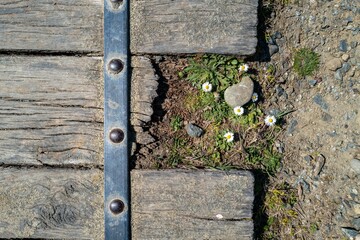some pebbles on a wooden walkway in Newgale Beach, Pembrokeshire, UK