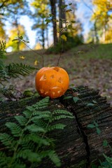 an orange pumpkin is on top of a tree stump in the woods
