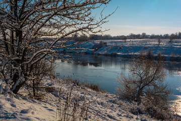 snow-covered shore with trees and bushes, near a frozen blue lake, against the backdrop of a clear blue sky