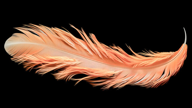 He created a unique bird feather image with generative AI.