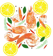 Fresh raw seafood shrimps illustrations art design.