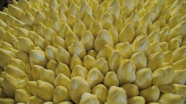 Close-up view of a group of endives