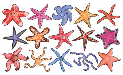 Fototapeta na wymiar Sea starfish vector color set icon. Vector illustration marine star on white background. Isolated color set icon sea starfish.