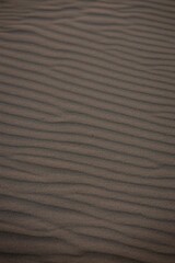 Textures of desert sand at sunset