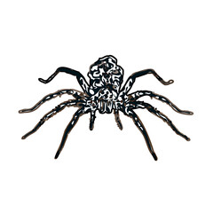 Color sketch of spider with transparent background