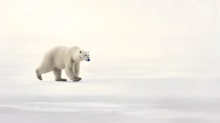Foto op Canvas In the vast expanse of the Arctic tundra, a solitary Polar Bear traverses the icy terrain, its pure white fur blending seamlessly with the snow-covered landscape. © ckybe