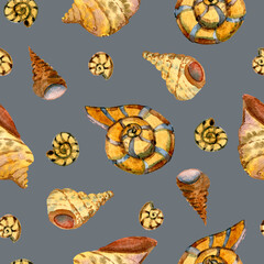 Crab, shells, seaweed, jellyfish, anchor, marine life, starfish and coral. Seamless watercolor pattern on a gray background, handmade. Scrapbooking, memories. 