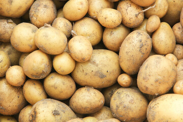 Kartoffel Hintergrund Kartoffeln 