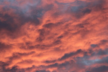Fototapeta premium Cotton candy skies during hurricane season