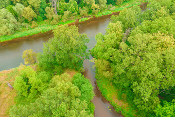 Teren porośnięty liściastym lasem. Pomiędzy drzewami widać ujście rzeki Czerna do rzeki Bóbr w pobliżu miasta Żagań w Polsce. Zdjęcie z drona. - 628977838